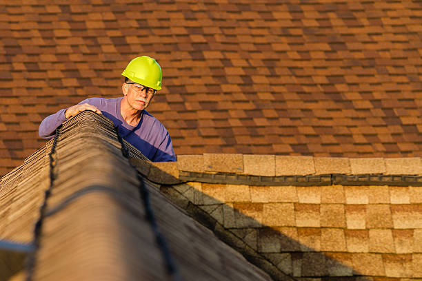 Best Storm Damage Roof Repair  in Ava, MO